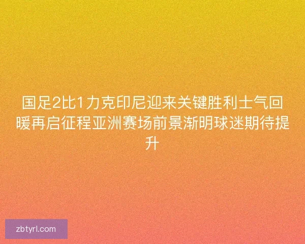 国足2比1力克印尼迎来关键胜利士气回暖再启征程亚洲赛场前景渐明球迷期待提升