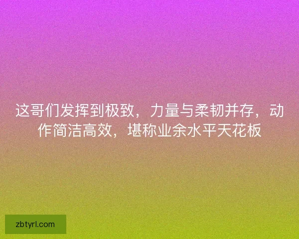 这哥们发挥到极致，力量与柔韧并存，动作简洁高效，堪称业余水平天花板