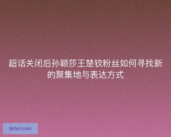 超话关闭后孙颖莎王楚钦粉丝如何寻找新的聚集地与表达方式